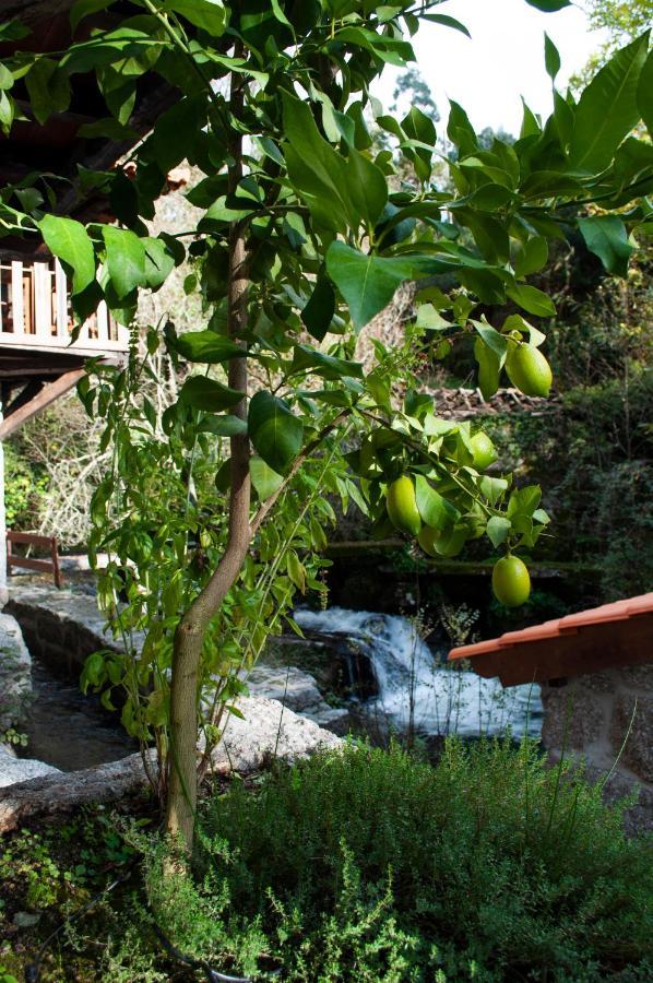 Quinta Das Bollotas Villa Fafe Exterior photo